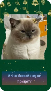 😕 emoji C новым годом! @Cathouse_mrr Telegram sticker 21 of 26