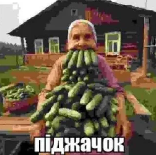 🌟 emoji ШПЭНЬКС Telegram sticker 10 of 95