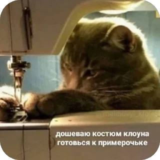 🫥 emoji Котики на все случаи Telegram sticker 5 of 120