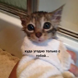 💓 emoji Няш пикчи Telegram sticker 17 of 82