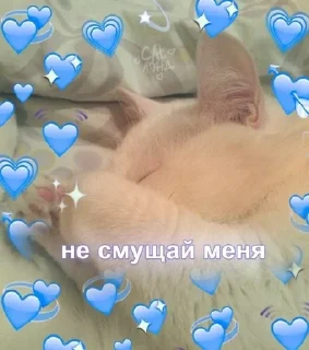 🥴 emoji ЯTeAmo Telegram sticker 6 of 18
