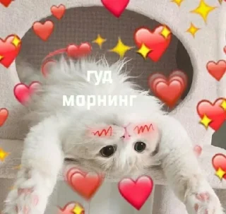 ❤️ emoji ЯTeAmo Telegram sticker 9 of 18