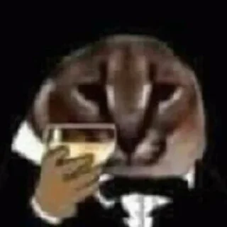 😎 emoji кетики 🐈🐈‍⬛🐈🐈‍⬛🐈🐈‍⬛🐈🐈‍⬛ Telegram sticker 7 of 31
