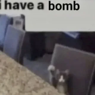 🌟 emoji КОТИ @STICKERSMYANKA Telegram sticker 19 of 50