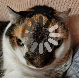 🤔 emoji Ти МурБлять! @Jesus_condemns Telegram sticker 23 of 55