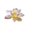 🤩 emoji 𝐅𝐥𝐨𝐰𝐞𝐫𝐬 🌸 @EVXSSQ Telegram sticker 6 of 73