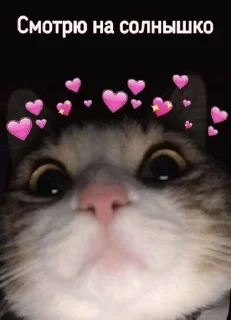 💓 emoji Милые Telegram sticker 18 of 120