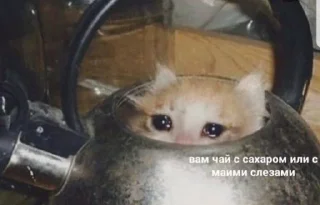 😢 emoji Stikosik Telegram sticker 10 of 32