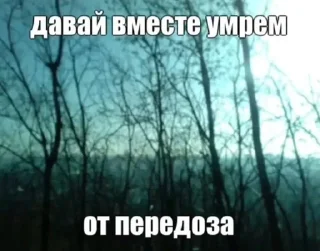 🌹 emoji 🌹Депрессивные мемы/суицидальны Telegram sticker 14 of 70