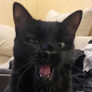 😆 emoji Васса Telegram sticker 7 of 106