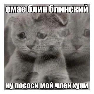🫥 emoji ядалбаеп Telegram sticker 23 of 33