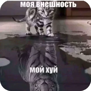 🫥 emoji ядалбаеп Telegram sticker 21 of 33