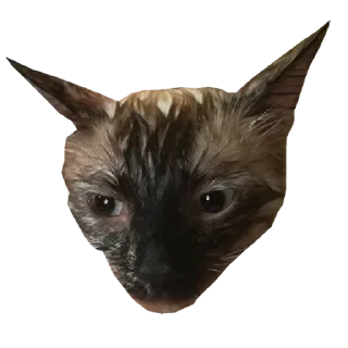 😭 emoji ада Telegram sticker 22 of 54