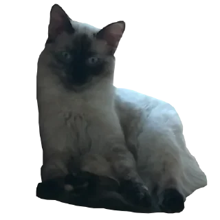😌 emoji ада Telegram sticker 12 of 54