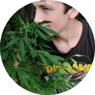 🌟 emoji Капец) Telegram sticker 18 of 22