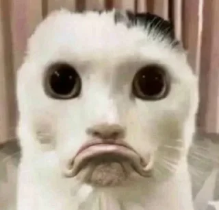 ☹️ emoji vip горничные Telegram sticker 10 of 109