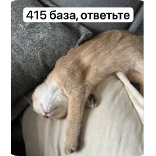 🫥 emoji kitten Telegram sticker 15 of 36