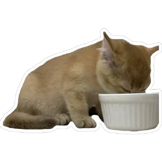 🫥 emoji Луна 🌙 Telegram sticker 23 of 56