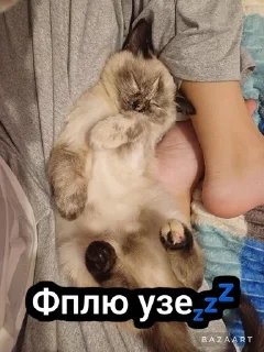 🌟 emoji Писюльки Telegram sticker 13 of 23