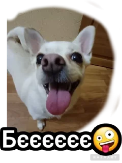 🌟 emoji Писюльки Telegram sticker 21 of 23
