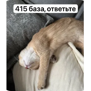 🫥 emoji Луна 🌙 Telegram sticker 12 of 56