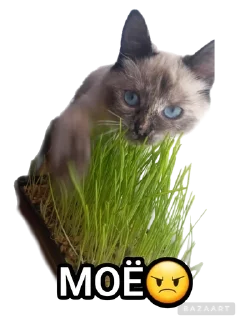🌟 emoji Писюльки Telegram sticker 8 of 23
