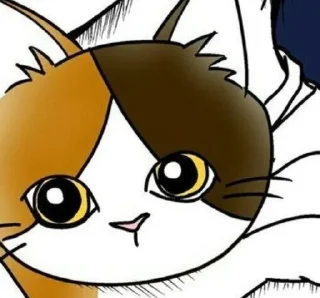 🥺 emoji _@tsuyunjiro_ 𝔠𝔥𝔞𝔠𝔥𝔞𝔪𝔞𝔯𝔲 Telegram sticker 13 of 120