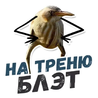 🏃 emoji 🙈Are you sure? @stickersb2b Telegram sticker 10 of 21