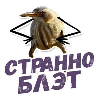 🤓 emoji 🙈Are you sure? @stickersb2b Telegram sticker 5 of 21
