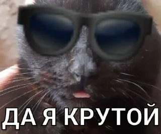 Sticker from Басик Шелби