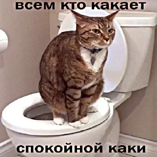 🚽 emoji ебал вентилятор @gppgx Telegram sticker 8 of 51
