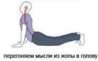 ☀️ emoji чмоня и коты для деда Telegram sticker 14 of 16
