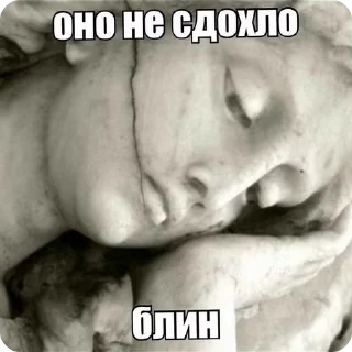 🌟 emoji сильвупле ебать Telegram sticker 22 of 108