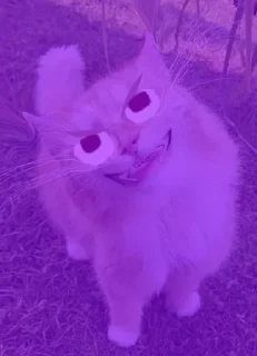 😈 emoji Люда самая пиздатая Telegram sticker 22 of 54