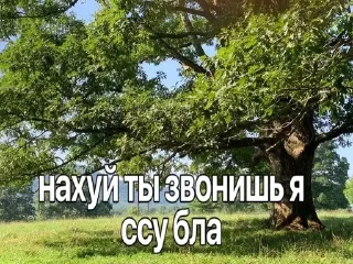 💦 emoji надписи тик ток Telegram sticker 18 of 90
