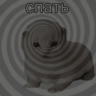 🌟 emoji Тупые котята Telegram sticker 20 of 64