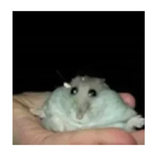 😶 emoji Пипи танец 👹 Telegram sticker 13 of 56