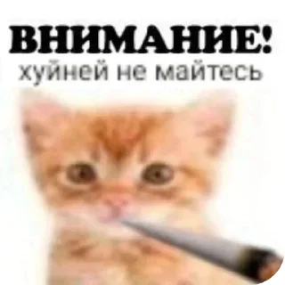 👎 emoji Личные стикеры кекса Telegram sticker 19 of 114