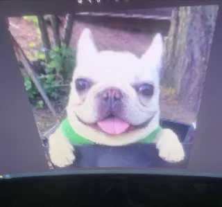 🌟 emoji шин голт🤑 Telegram sticker 17 of 17
