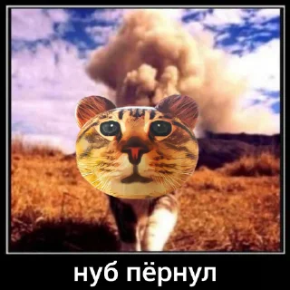 🐖 emoji Крутая Поебота Telegram sticker 23 of 96