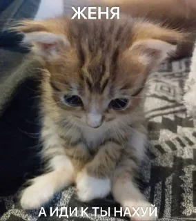 🌟 emoji нунихуясебе Telegram sticker 21 of 50