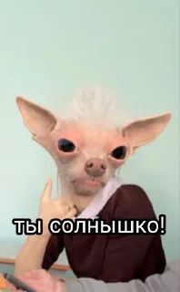 🫂 emoji Что-то красивое Telegram sticker 24 of 50