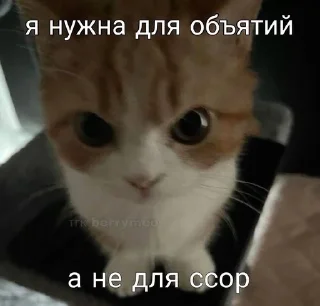 🌟 emoji переговоры с леной Telegram sticker 24 of 59