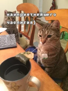 🌟 emoji На все случаи жизни 2.0 Telegram sticker 24 of 50
