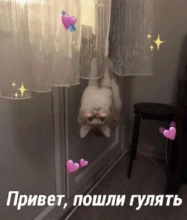 🌟 emoji На все случаи жизни 2.0 Telegram sticker 13 of 50