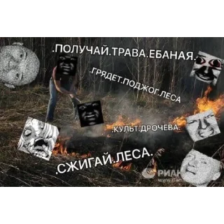 ☠️ emoji МКУ ХУЕВЫЕ ПИКЧИ БЕЗ СМС Telegram sticker 8 of 39