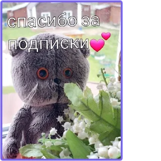 Sticker from мяу басики💗😺