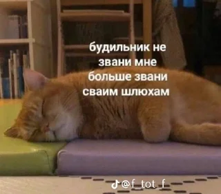 🕰️ emoji Мяу 🐈‍⬛ Telegram sticker 23 of 88