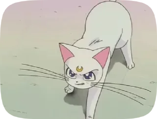 🌟 emoji Котики by @AgmaGedDon Telegram sticker 18 of 108