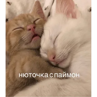 Sticker from е бать